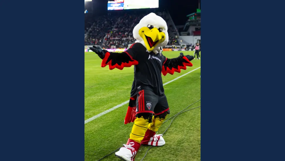 A photo of the mascot Talon