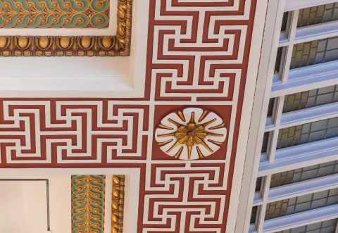 ceiling detail laylight rosette