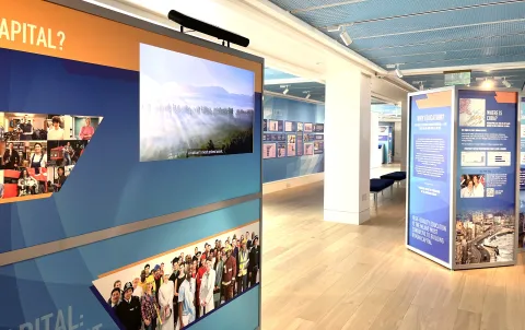Pop-Up Gallery