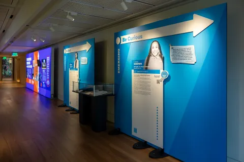 A photo of the NFTE gallery 