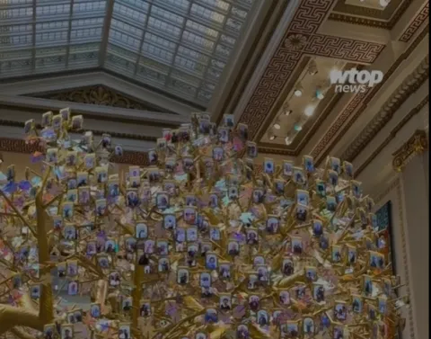 A photo of the Tree of Generations in the WTOP story.