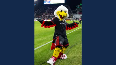 A photo of the mascot Talon